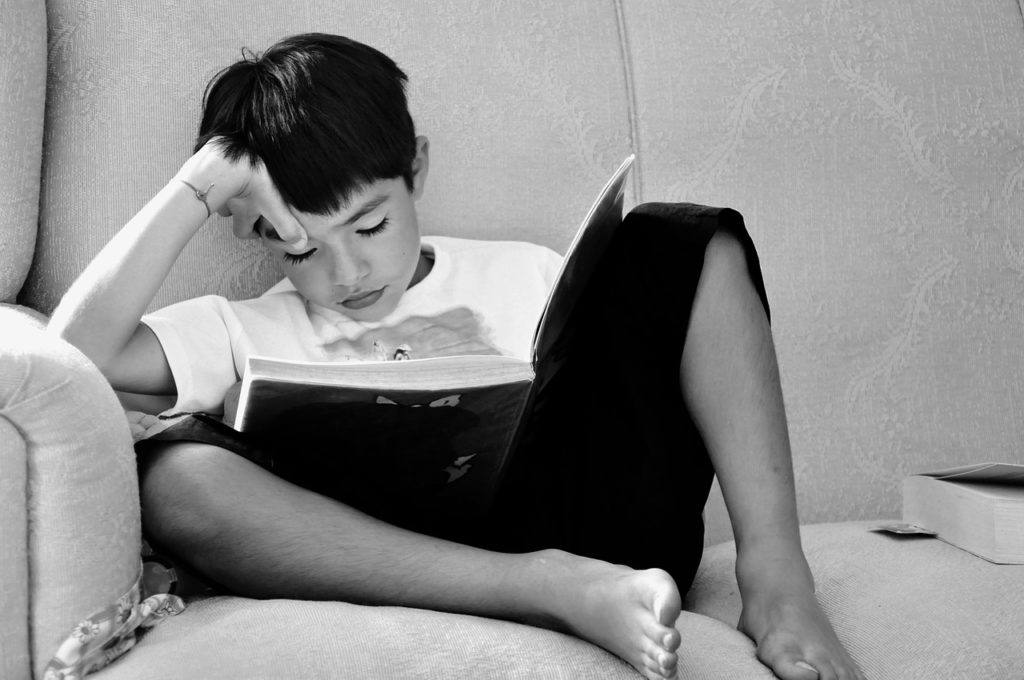 Reader